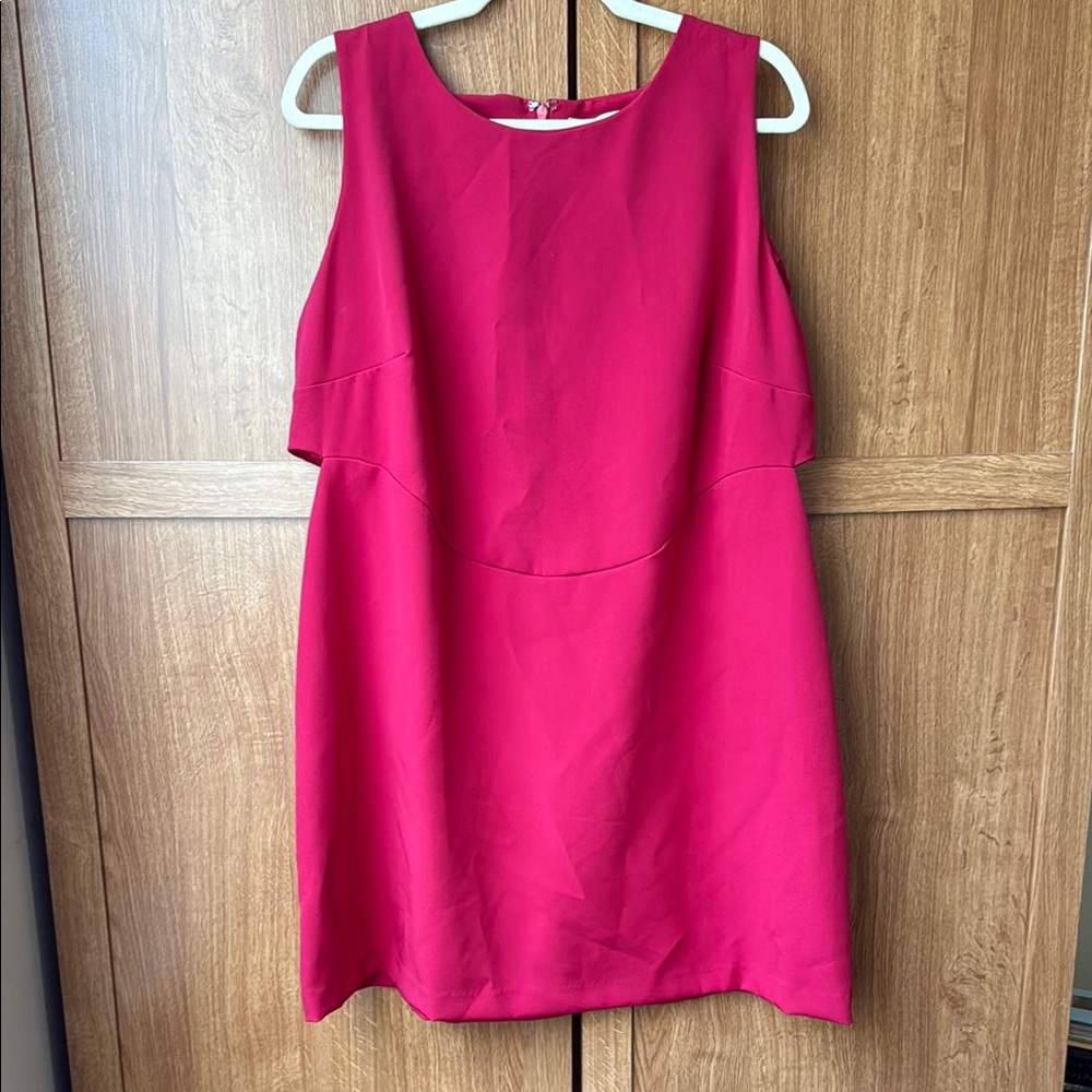 Elegant Red-ish Punk Sleeveless Dress with side cut outs